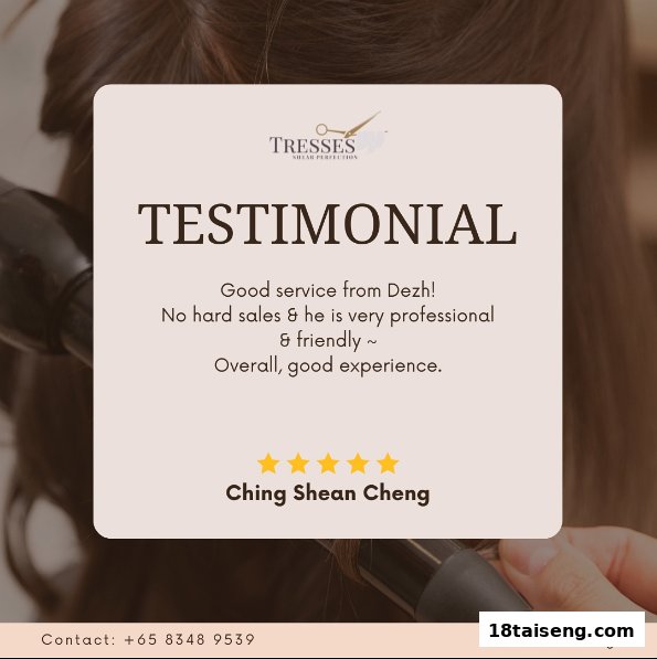 A customer testimonial for Tresses Shear Perfection, highlighting professional and friendly service.