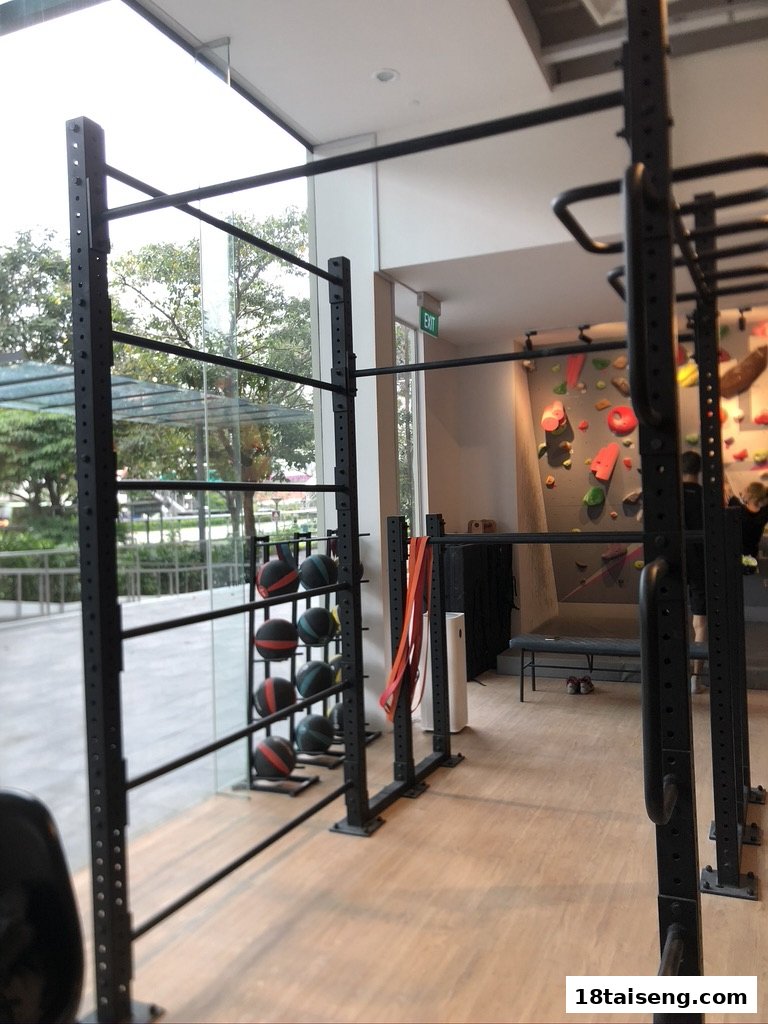 Interior view of a bouldering gym with climbing walls, exercise equipment, and large windows.