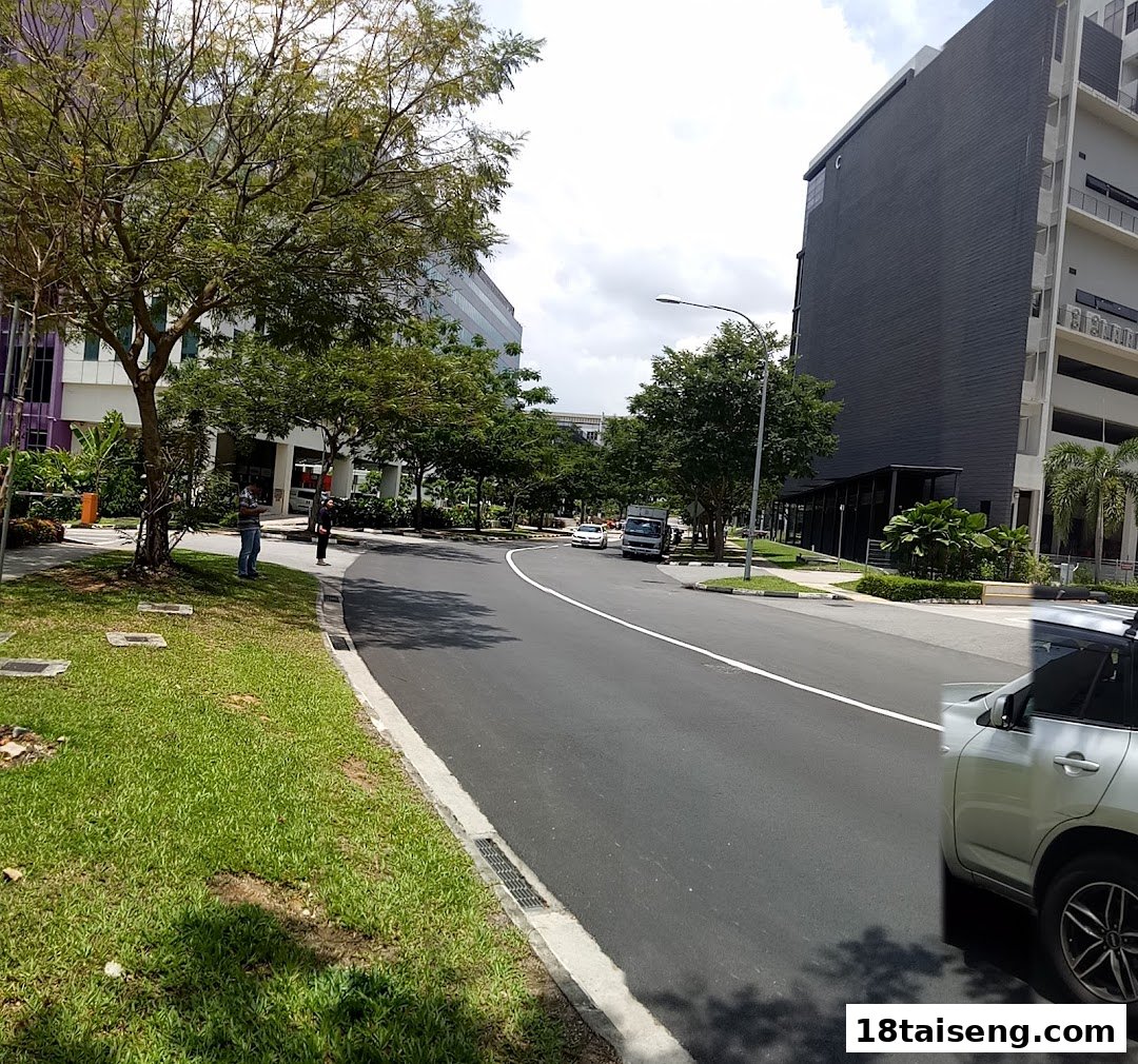 A wide outdoor shot of a curved road with lush greenery, modern buildings, and a few people.