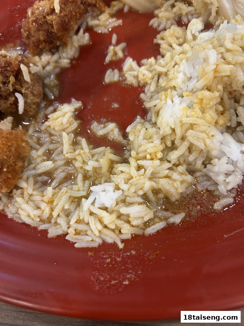 A close-up of a red plate filled with rice, sauce, and fried food.