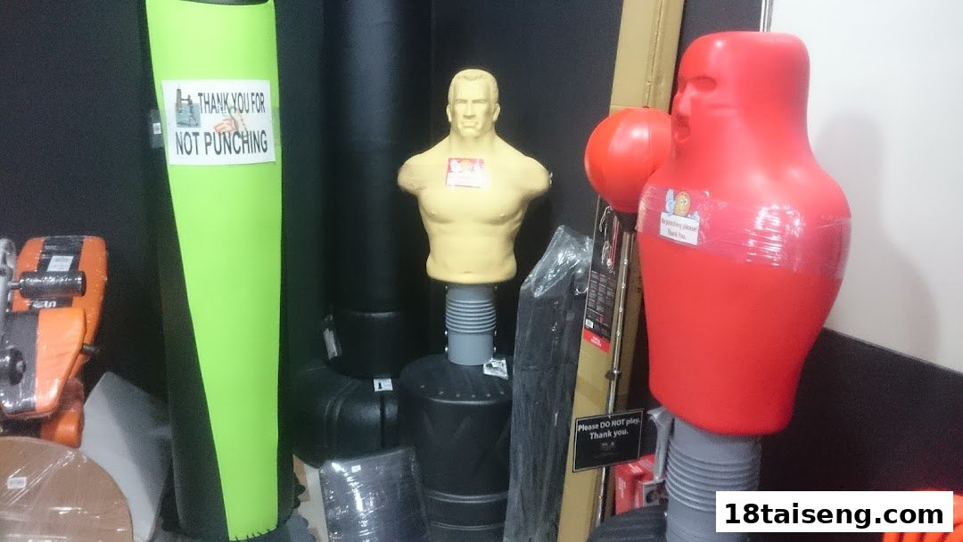 Various punching bags and boxing dummies displayed in a sports equipment shop.