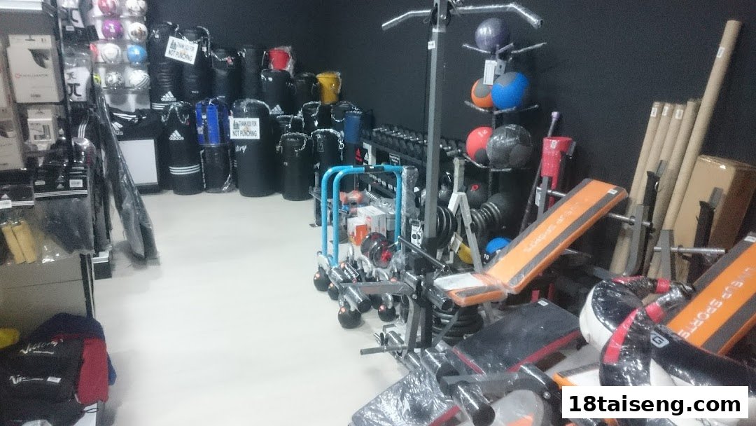 Interior view of Liang Seng Sports, showcasing a wide range of fitness equipment, boxing bags, and sports accessories.