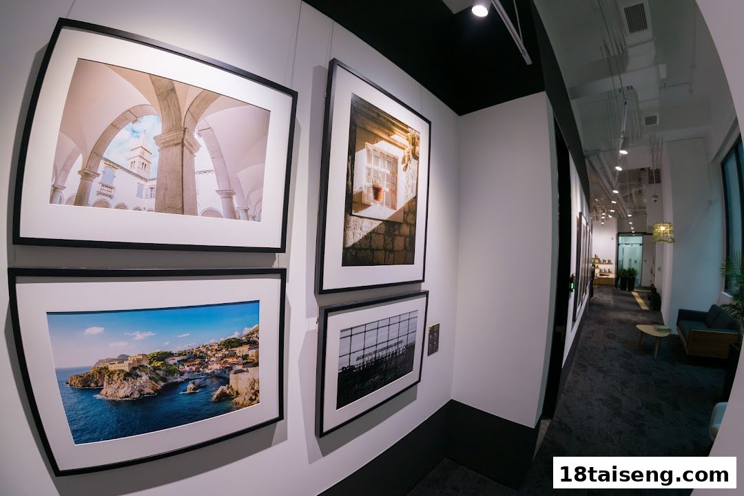 A gallery-like display of framed photographs on a white wall in a modern interior space.