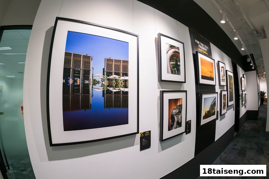 An interior view of Nikon Singapore showcasing a gallery wall with various framed photographs.