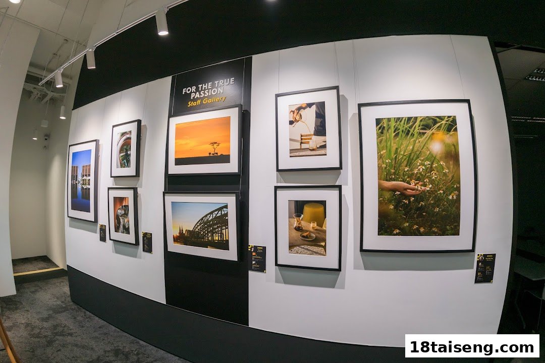 A gallery wall inside Nikon Singapore featuring framed photographs from the 'Staff Gallery' display.