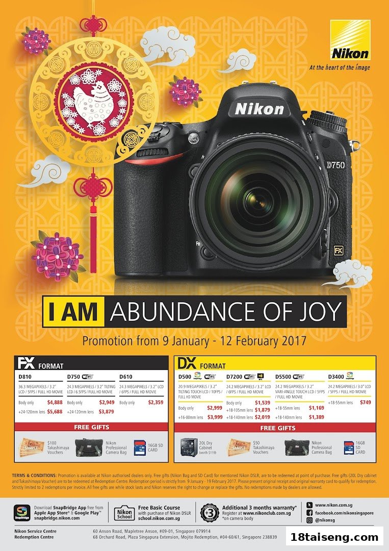 A promotional flyer for Nikon cameras, detailing DSLR models, prices, specifications, and free gifts.