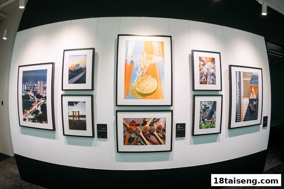 A wall display featuring various framed photographs showcasing diverse subjects and photographic styles.
