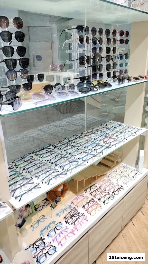 A bright display case showcasing a wide variety of eyeglasses and sunglasses.