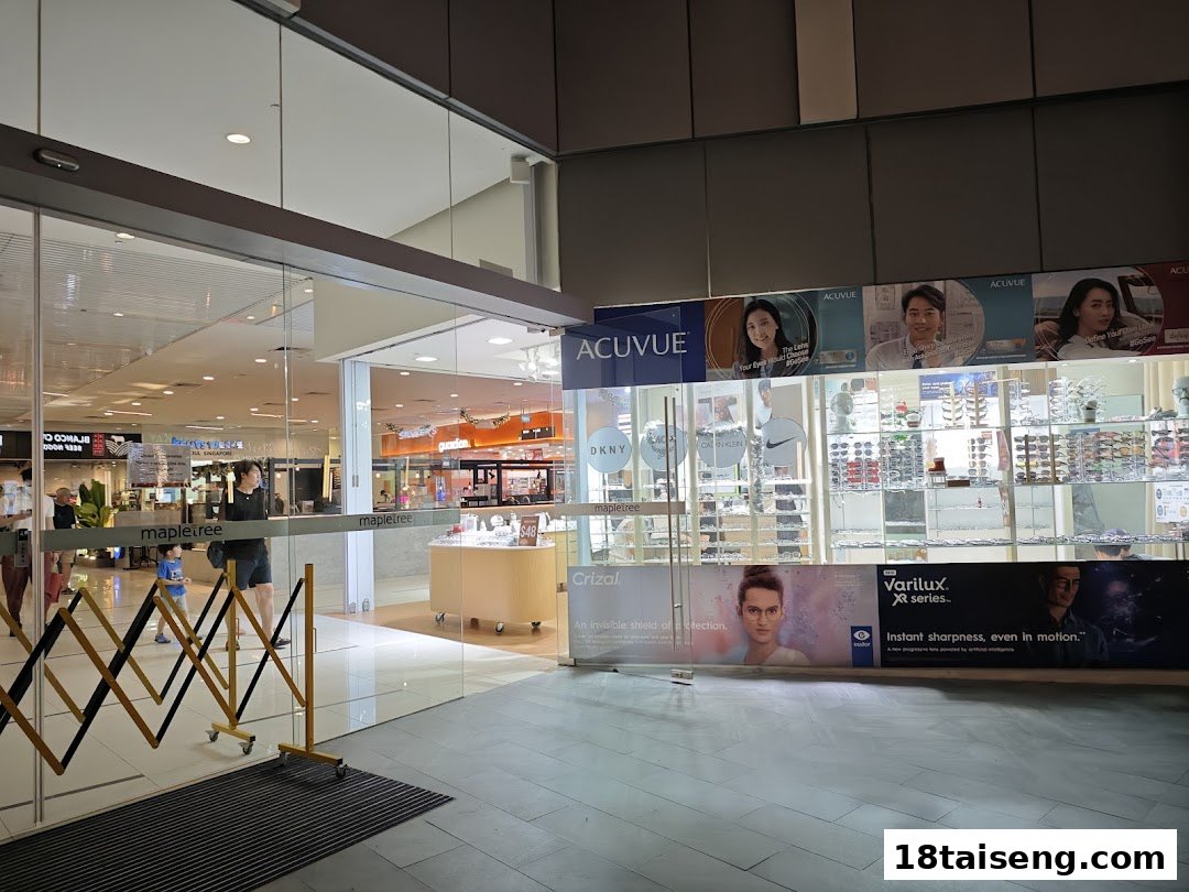 Exterior view of an optical shop featuring eyewear displays and prominent brand advertisements.