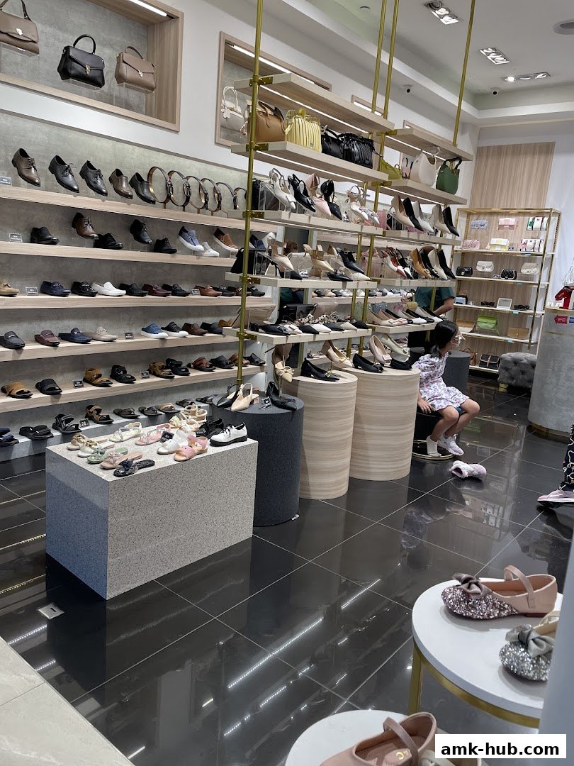 Interior view of a shoe store with shelves displaying various footwear and handbags.