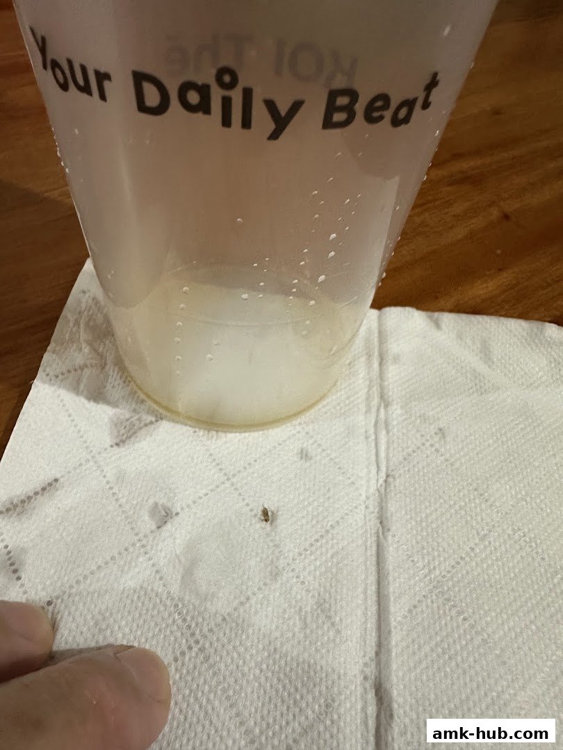 A close-up of a KOI Thé cup with condensation, resting on a paper napkin.