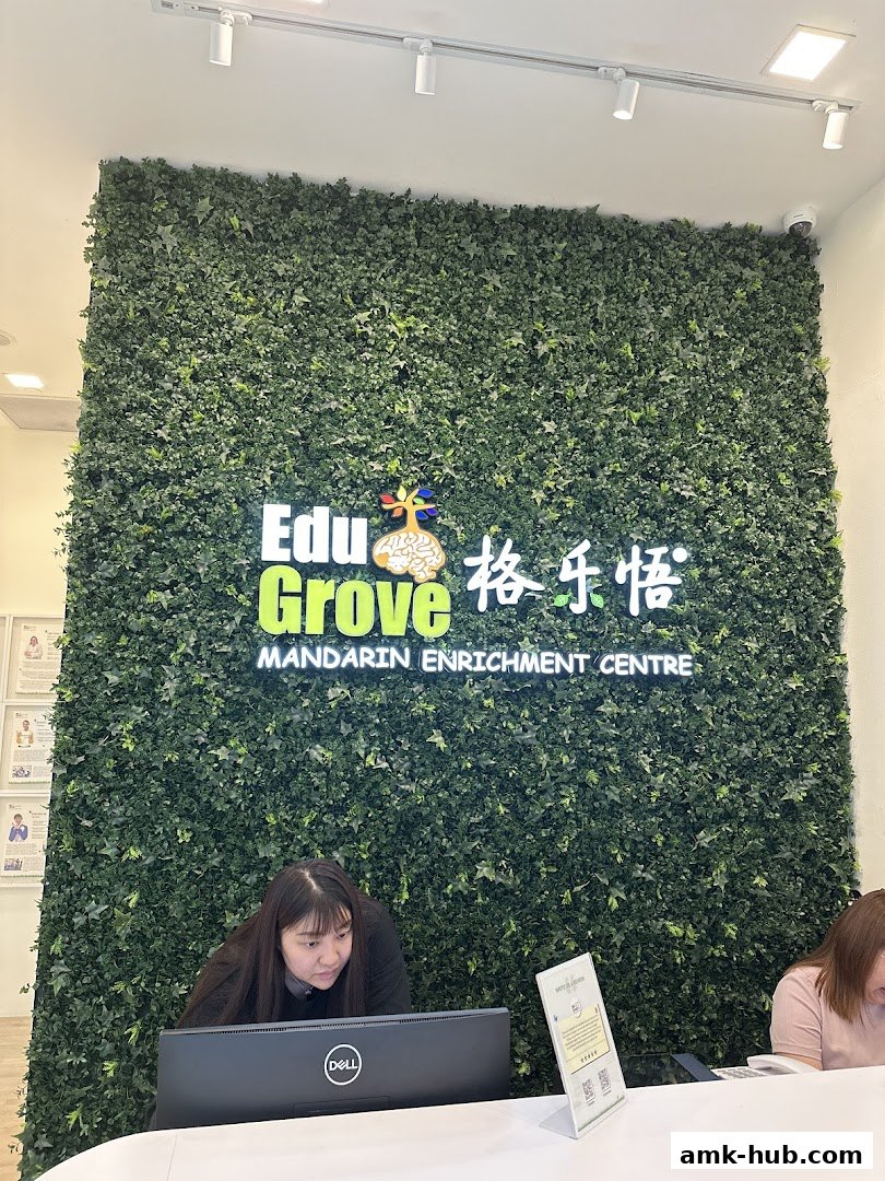 Reception area of EduGrove Mandarin Enrichment Centre with a green wall and staff at desks.