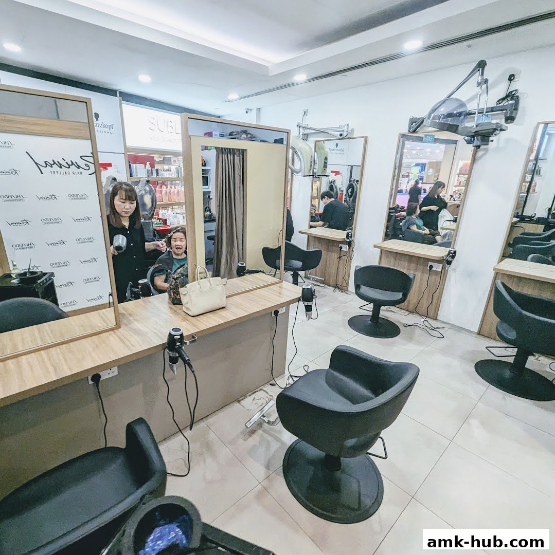 Interior view of a hair salon with stylists and clients at workstations.