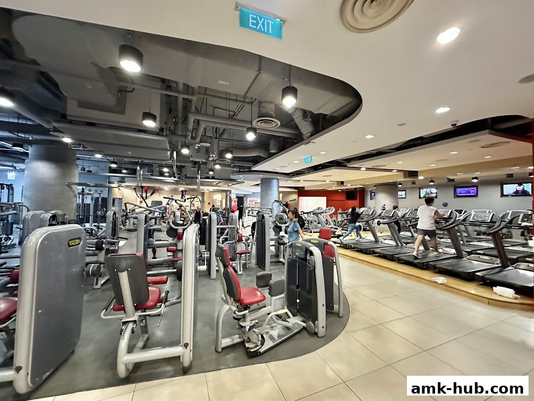 Interior view of a modern gym with treadmills and weight machines, featuring people exercising.