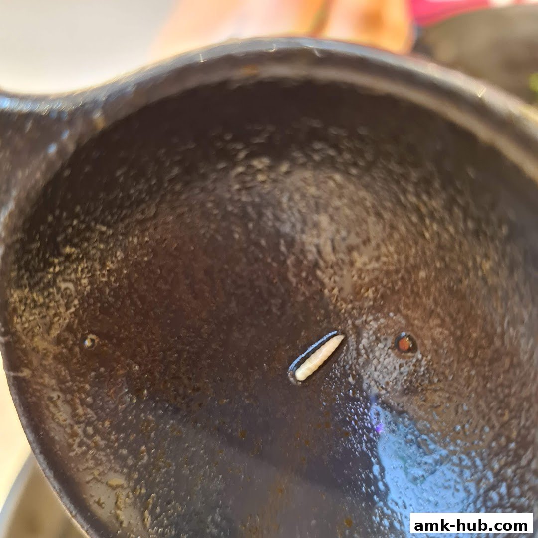 Close-up of a ladle with a single piece of food inside.