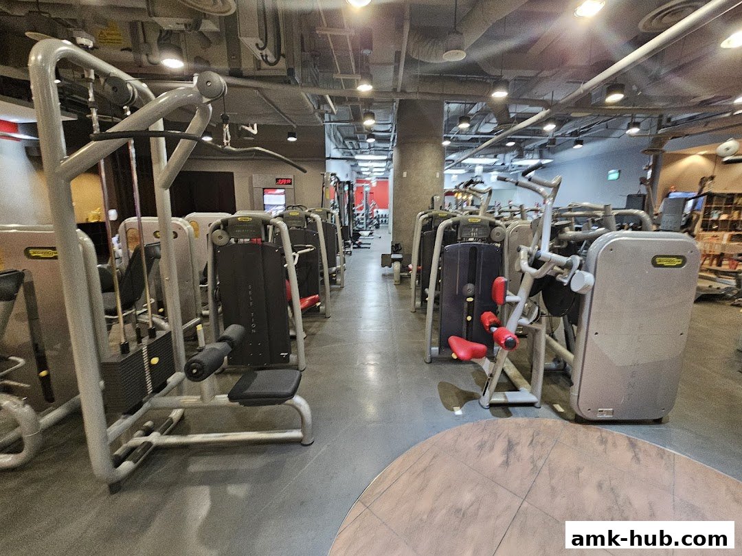 Rows of modern weight machines are neatly arranged in a spacious, well-lit gym.