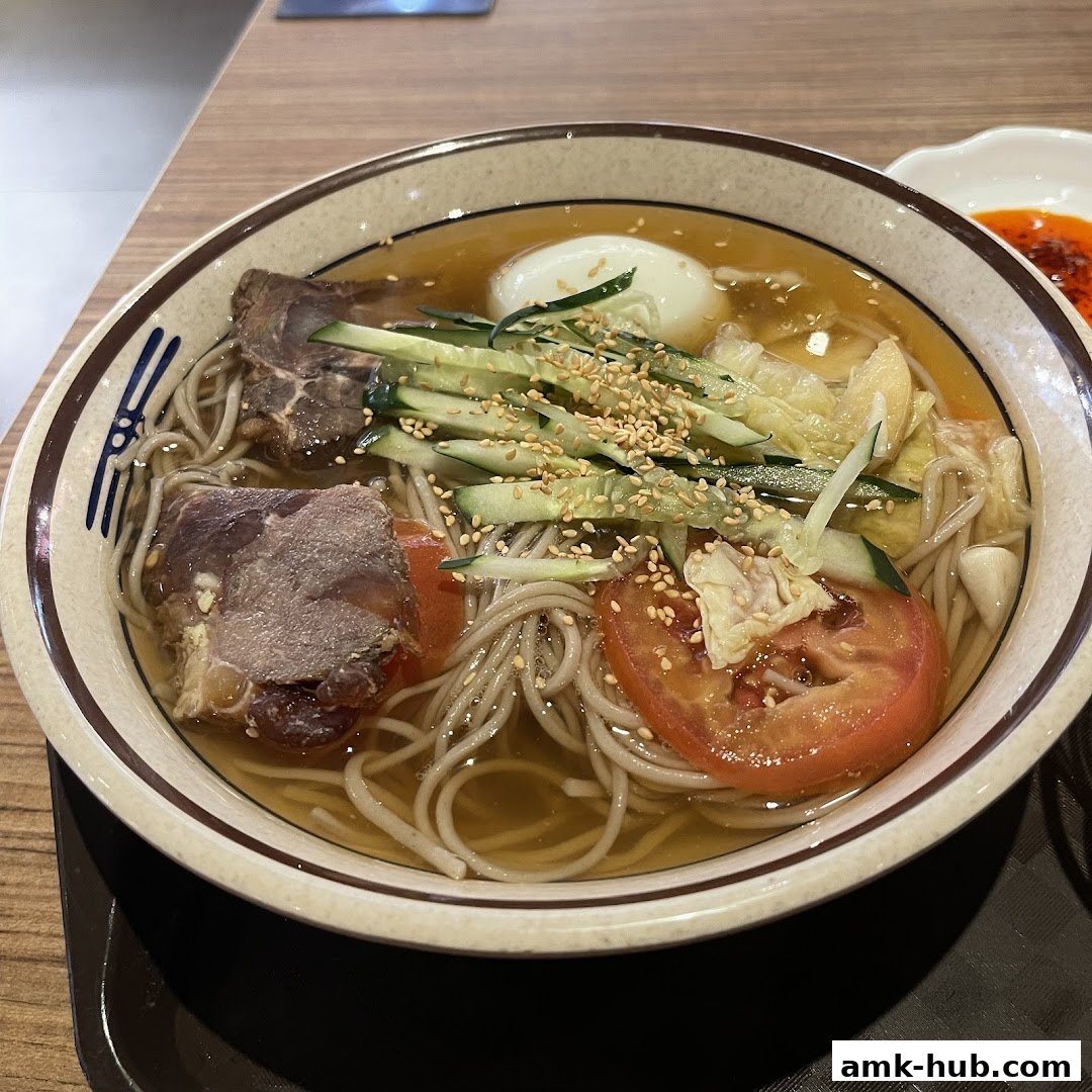 A bowl of cold noodles with beef, cucumber, tomato, and egg in broth.