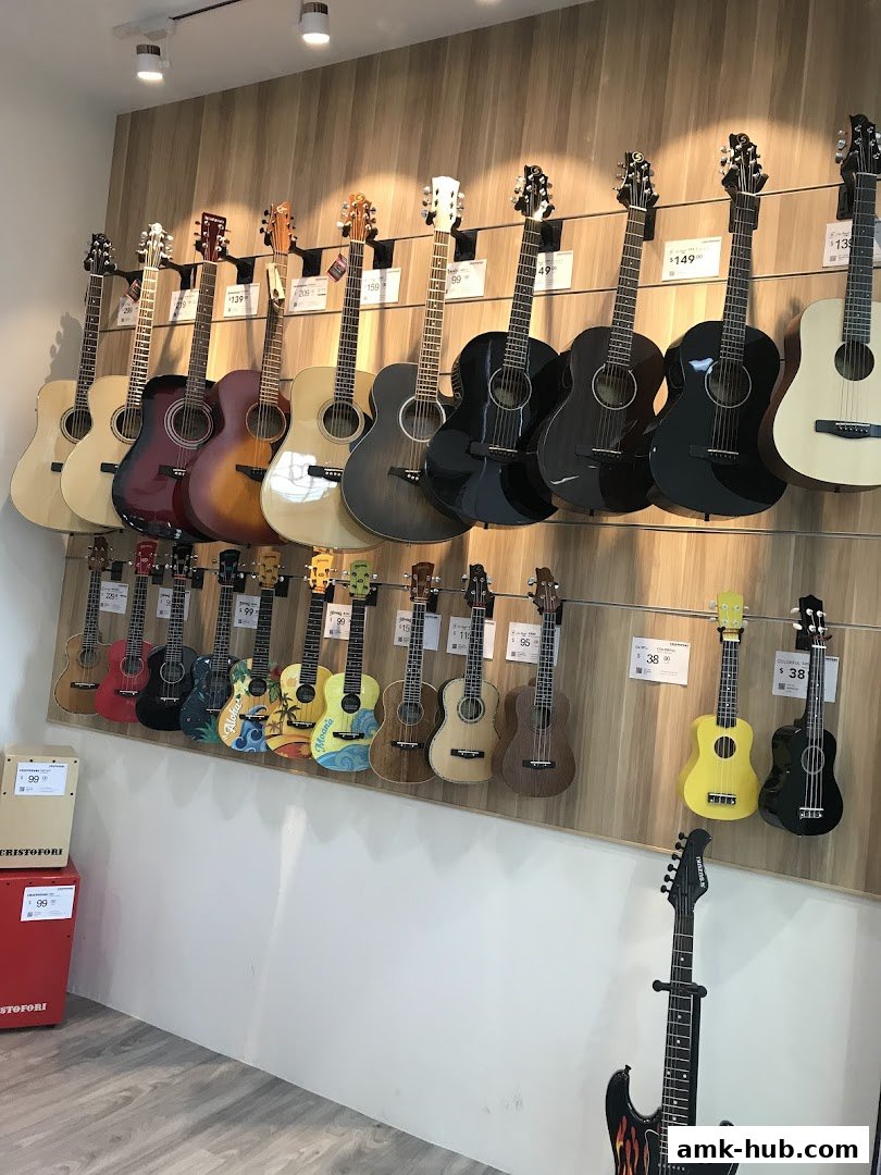 A display of various guitars and ukuleles on a wooden wall at Cristofori Music School.