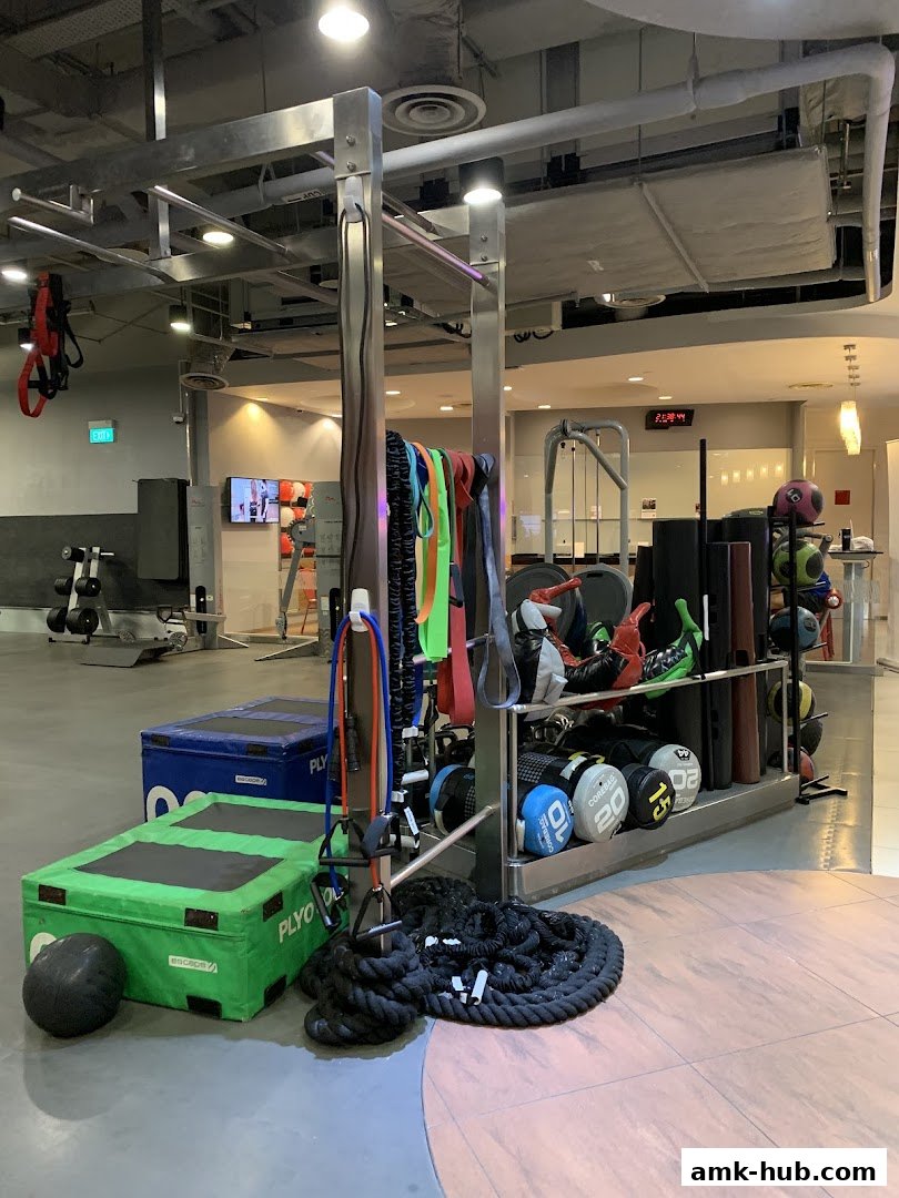 Gym equipment including plyo boxes, resistance bands, battle ropes, and weights.