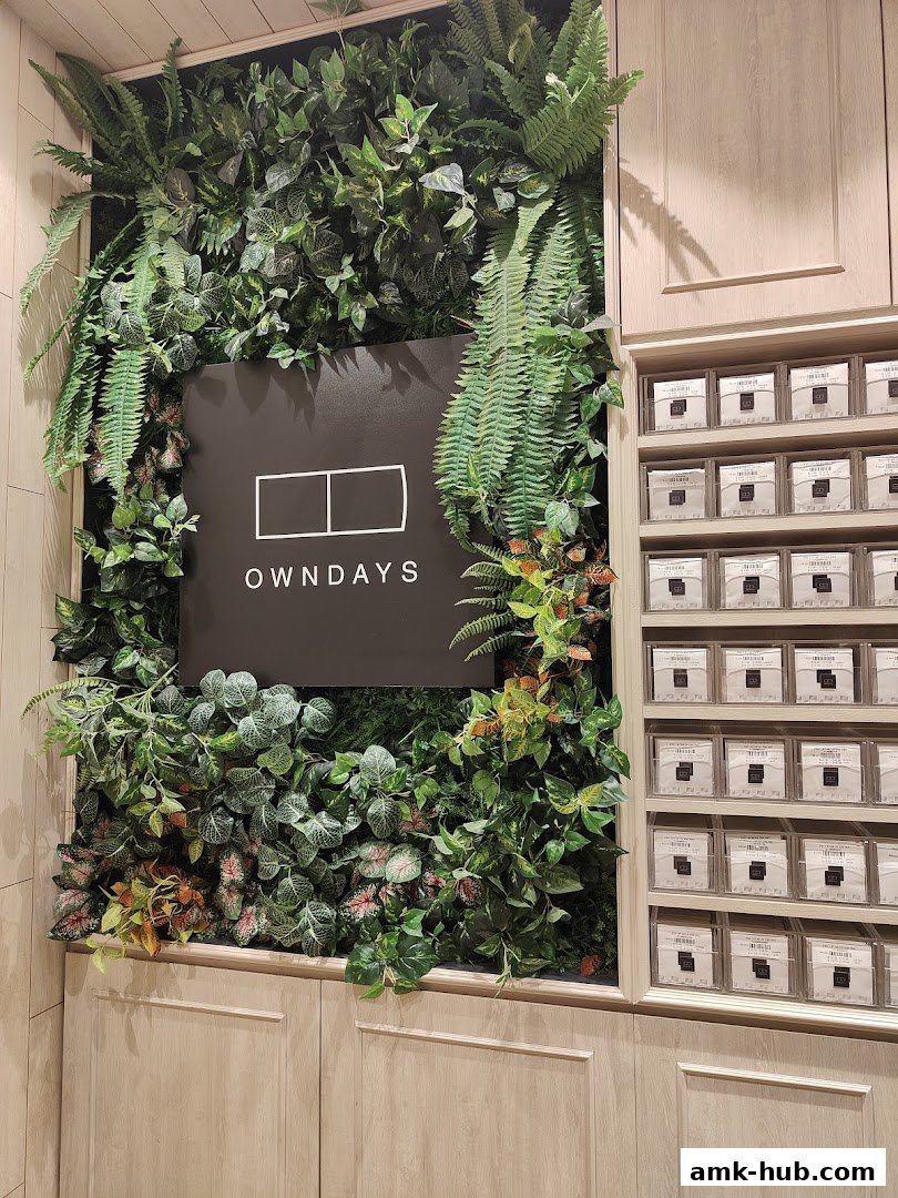 OWNDAYS shop interior with a green wall and display of eyewear cases.