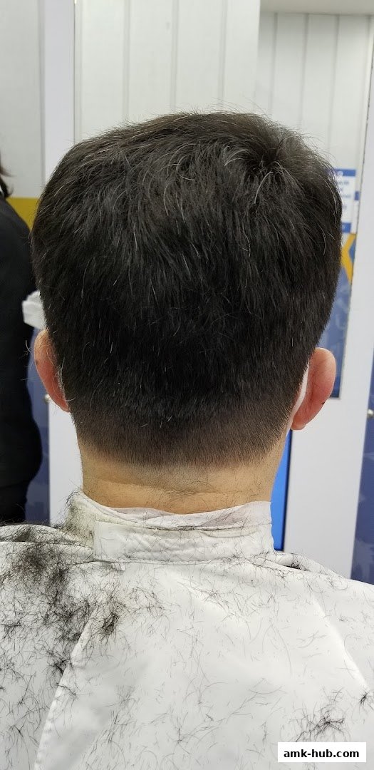 Back view of a person's head and shoulders wearing a cape covered in hair clippings.