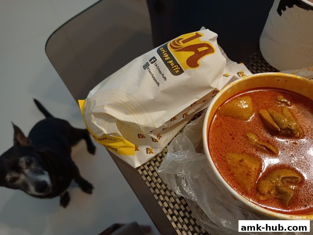 A bowl of curry chicken and a paper bag from 1A Crispy Puffs with a dog looking up.