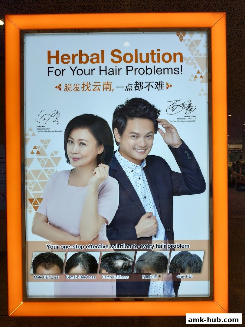 A poster for Yun Nam Hair Care showcasing herbal solutions for various hair problems.