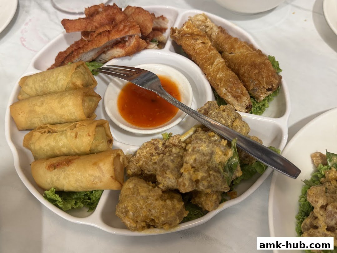A platter of assorted fried appetizers including spring rolls, crispy chicken, and other savory bites.