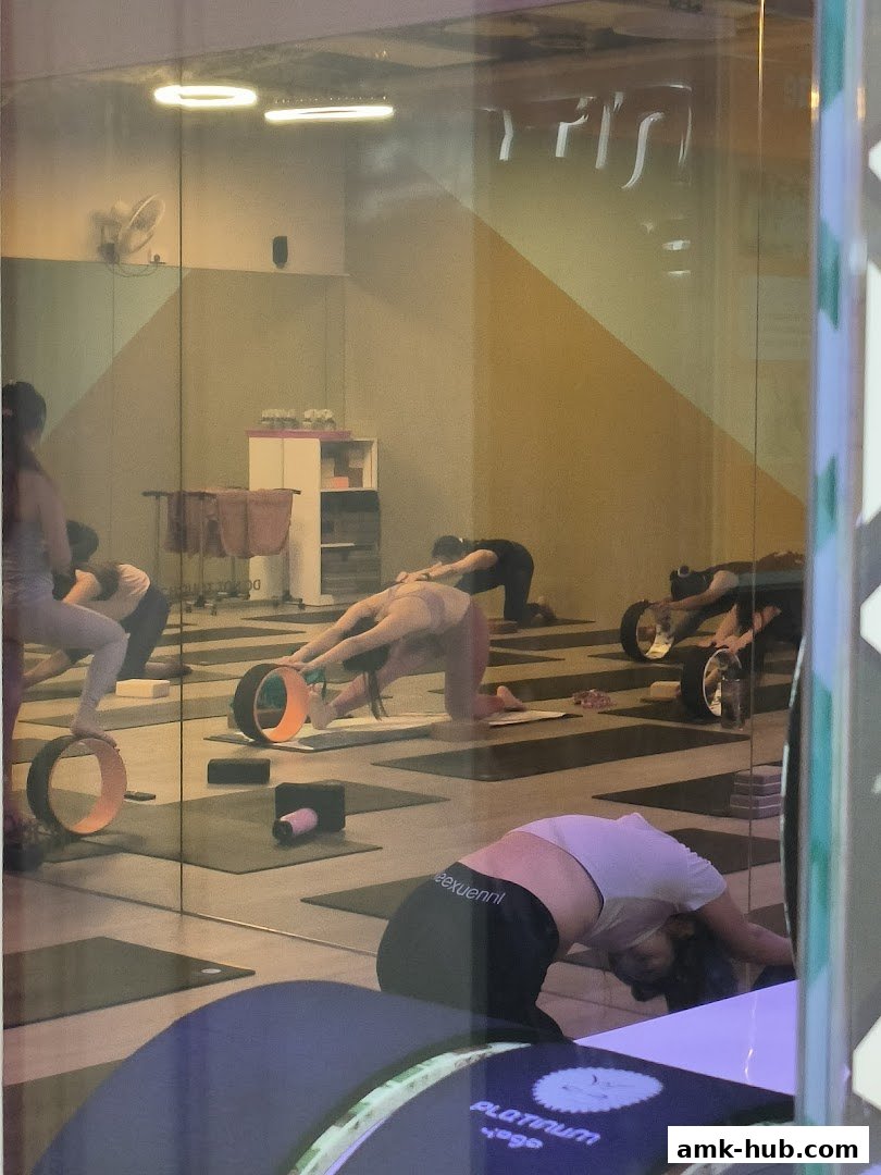 People practicing yoga with wheels and blocks in a studio with mirrors.