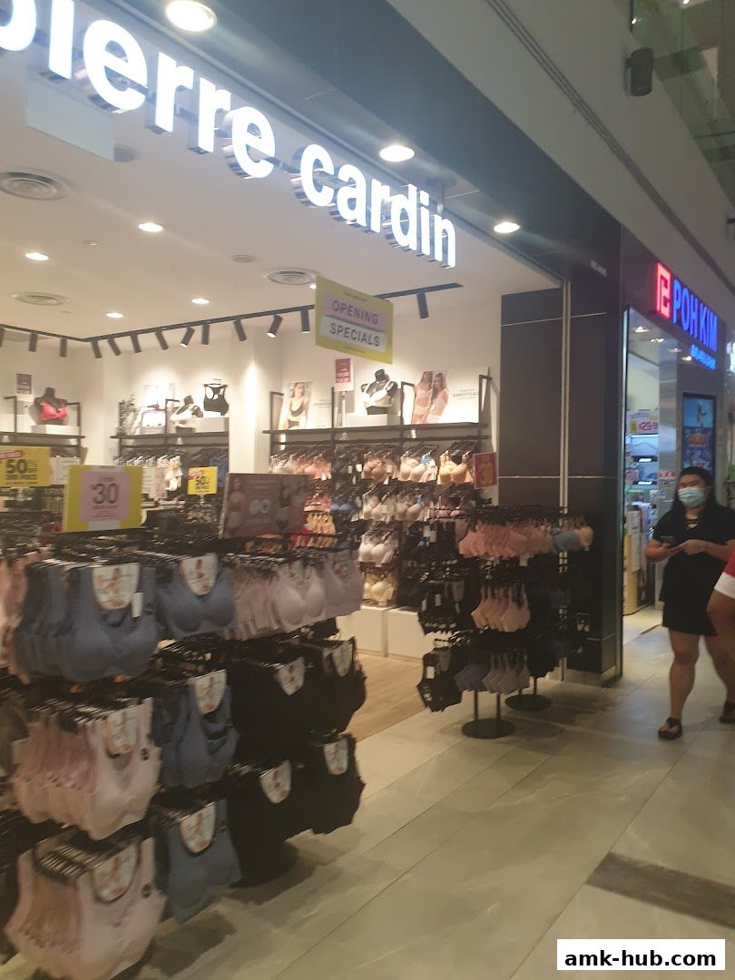 Interior view of a Pierre Cardin Lingerie store showcasing various bras and underwear.