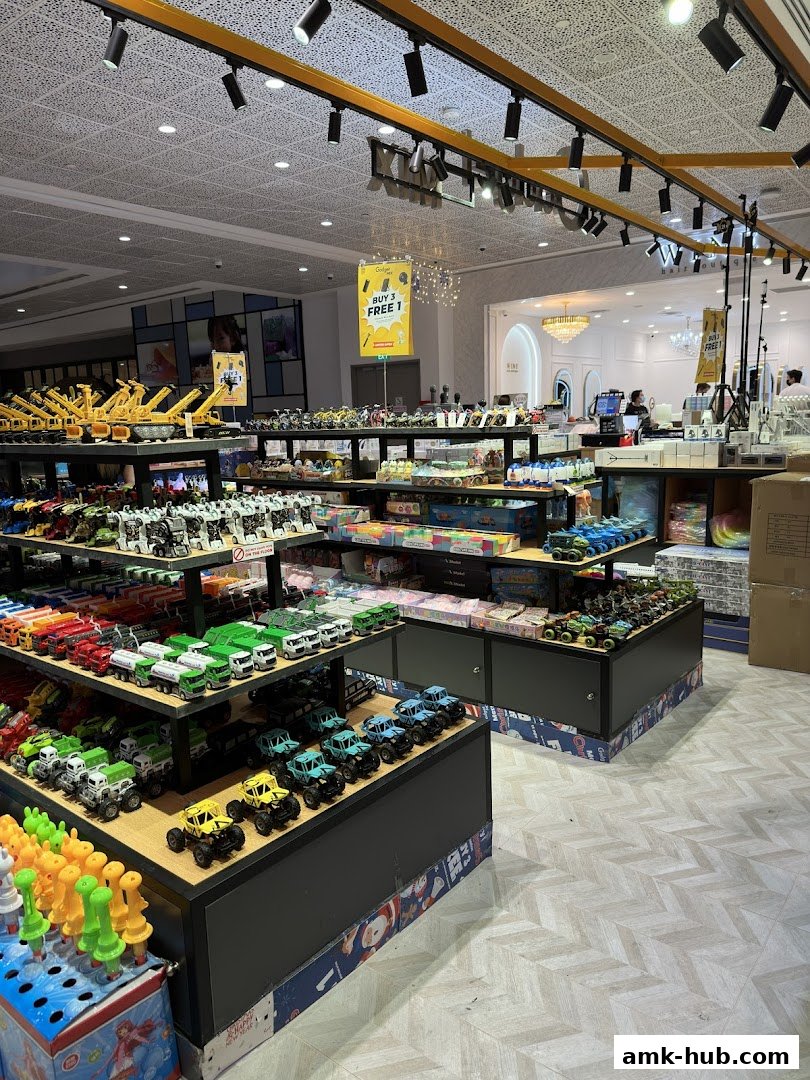 Interior view of a toy store showcasing a wide variety of toy vehicles on display shelves.