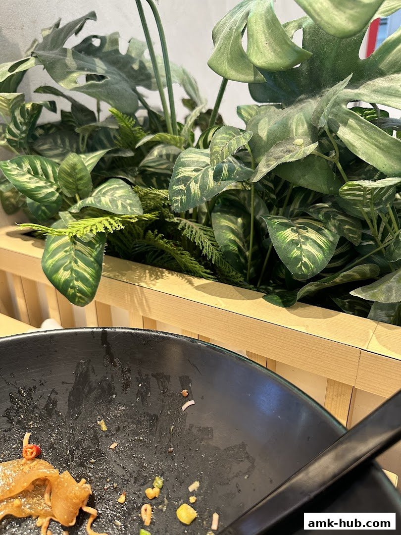 A close-up of a black bowl with leftover food and a lush green plant arrangement.