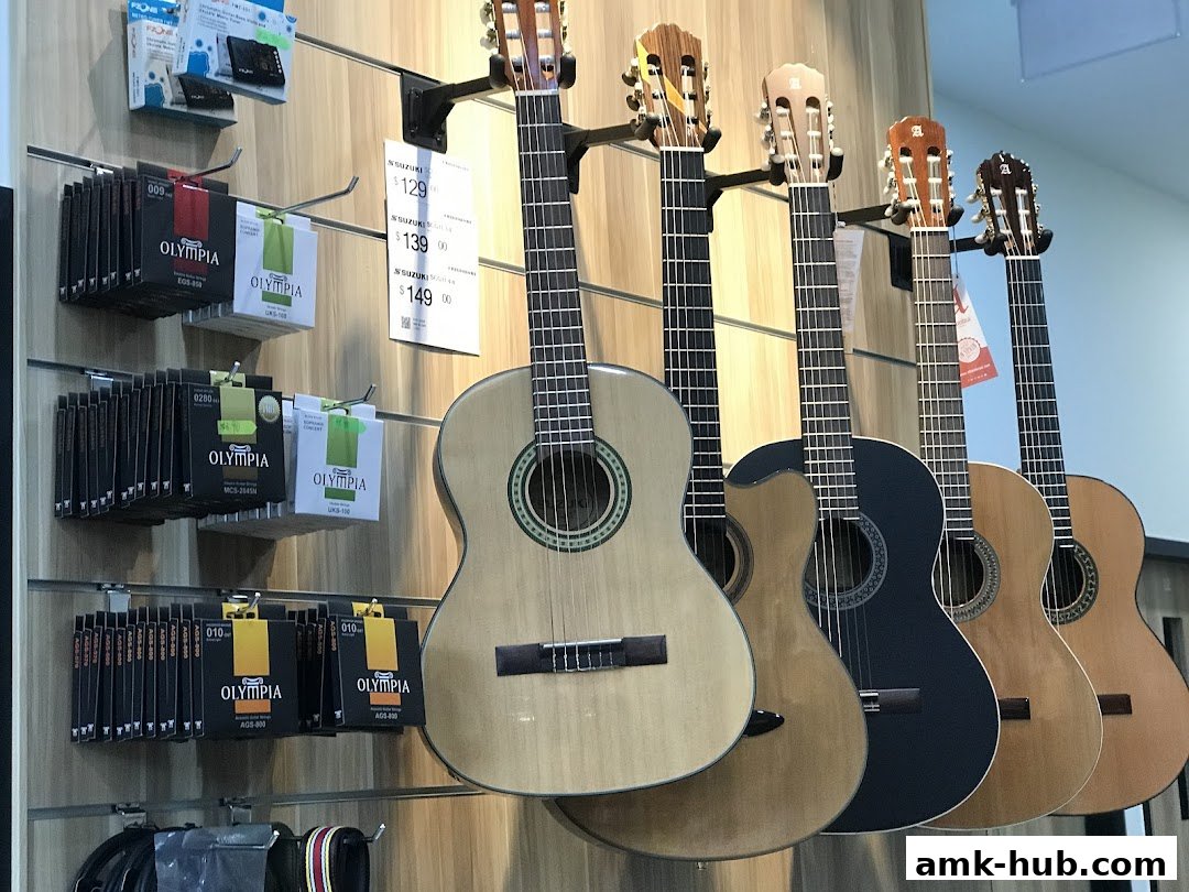 A display of acoustic guitars and guitar strings on a wall-mounted rack.