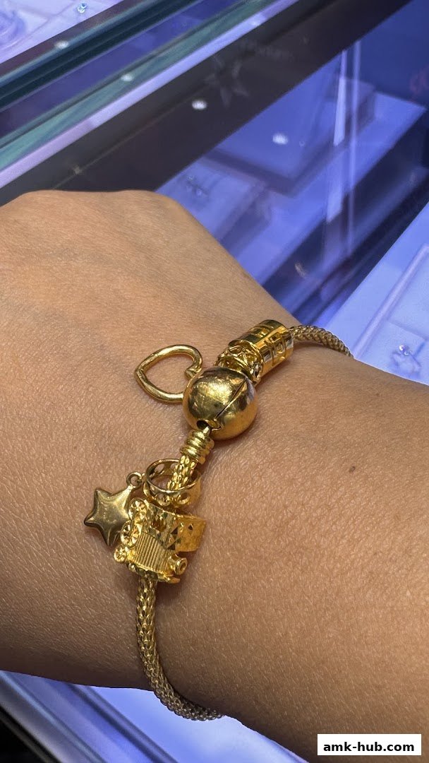 A close-up of a gold charm bracelet with a heart, star, and carriage charms on a wrist.