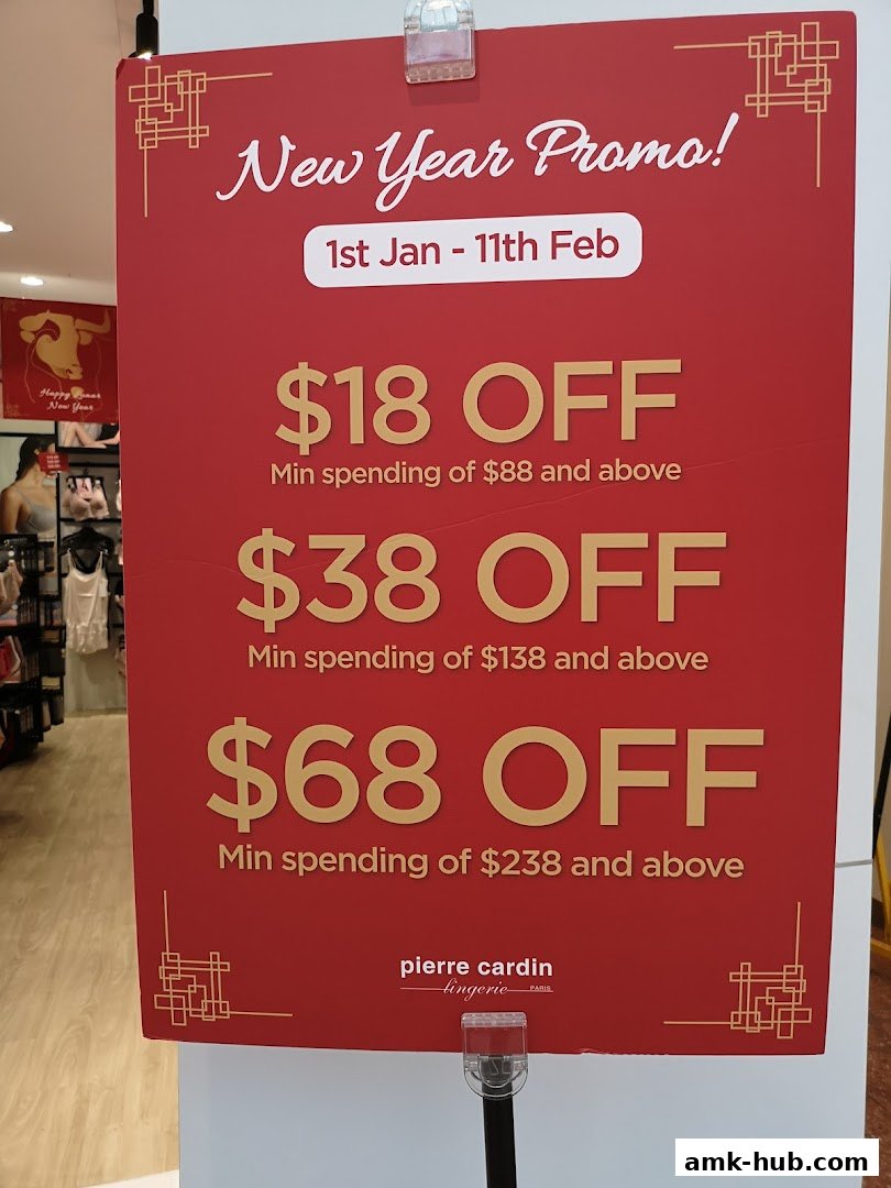 A red promotional sign for Pierre Cardin Lingerie's New Year sale.