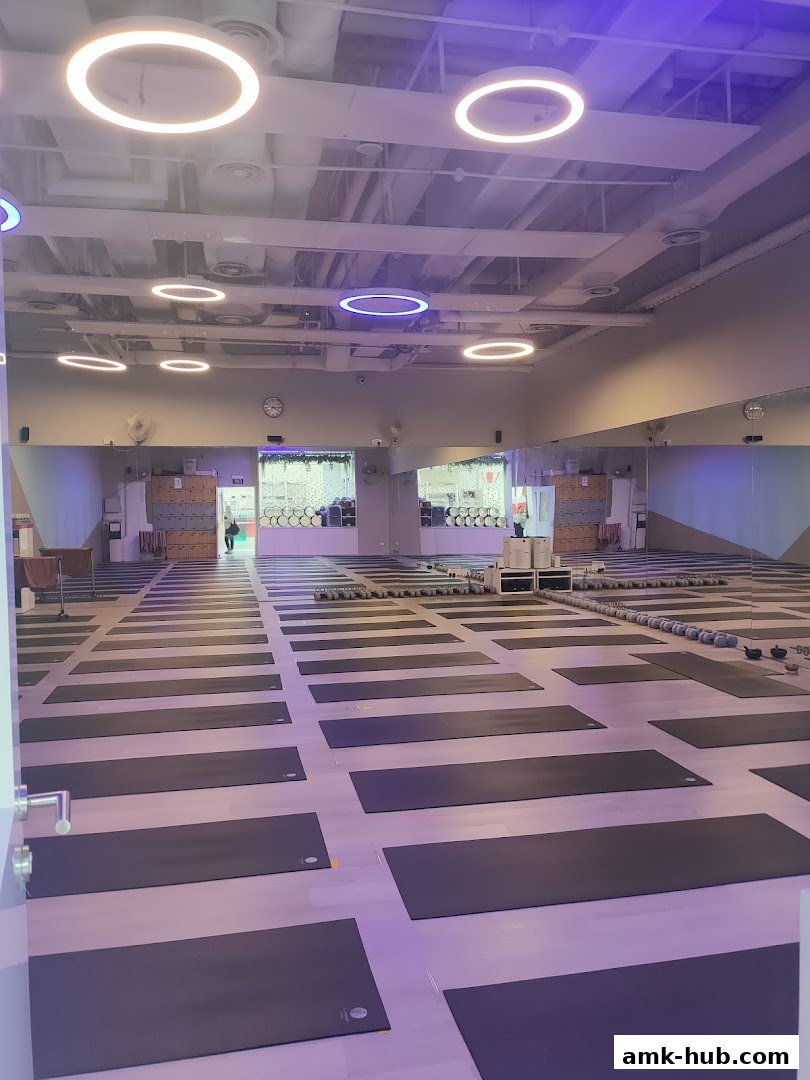 A spacious yoga studio with rows of yoga mats laid out on the floor.