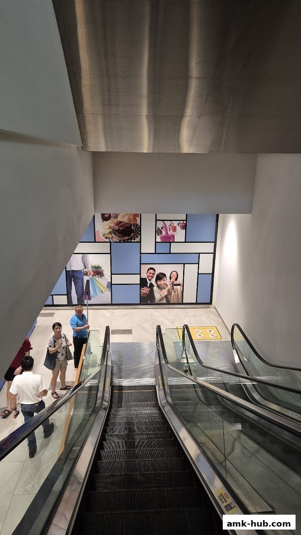 People on escalators in a mall with decorative wall art.