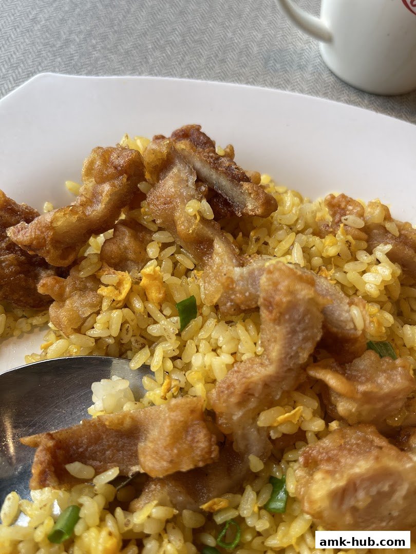 A close-up shot of a plate of fried rice topped with crispy fried pork pieces.