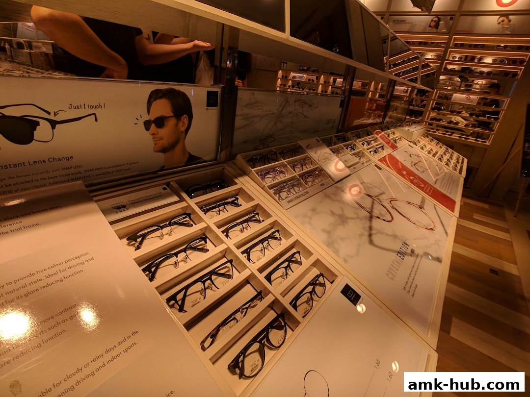 Interior view of an optical shop displaying various eyeglasses and promotional materials.