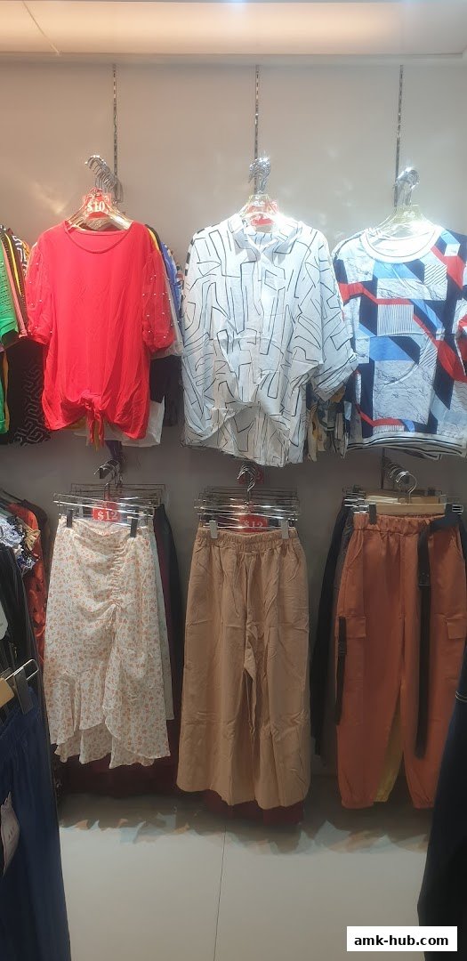 A display of women's clothing including tops, skirts, and pants on hangers.