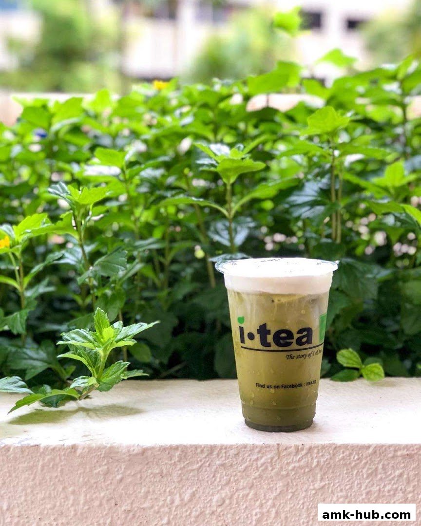A refreshing iTEA beverage with a creamy top, set against a backdrop of lush green foliage.
