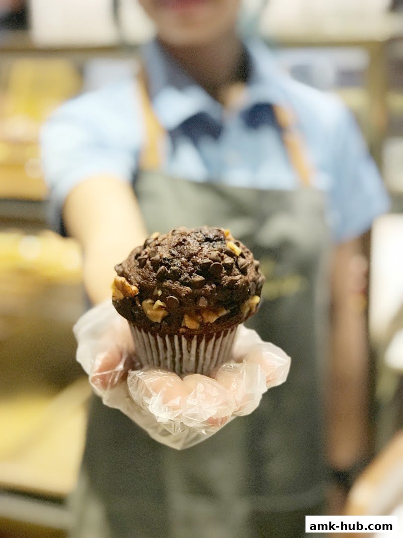 A person in an apron holds out a chocolate chip and walnut muffin.