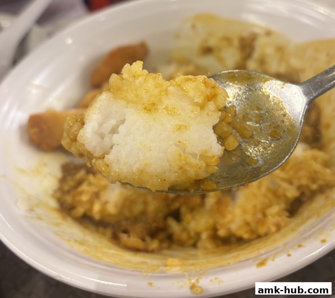 A close-up shot of a spoonful of rice and curry with fried fish.