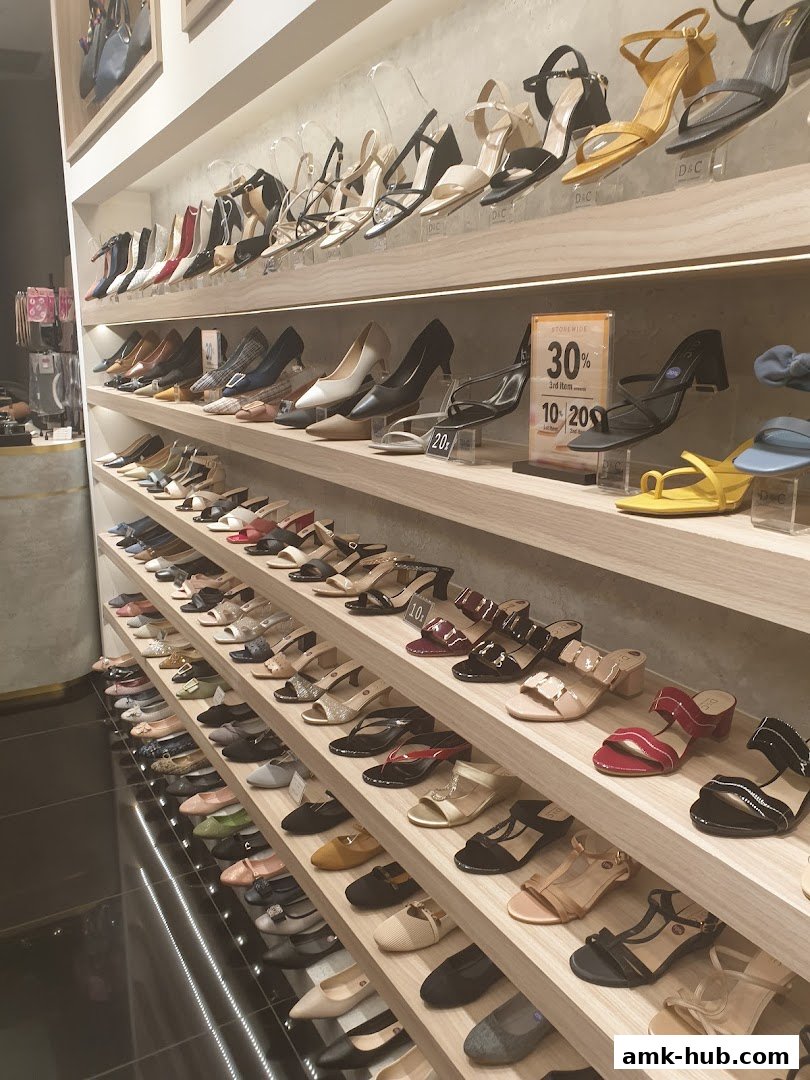 A wide selection of stylish women's shoes displayed on shelves in a retail store.