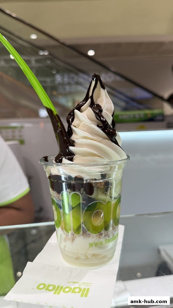 A delicious frozen yogurt cup with chocolate sauce and toppings from llaollao.