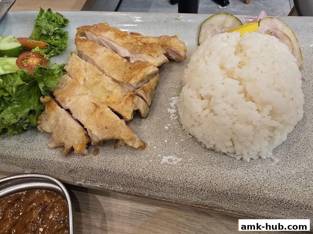 A plate of sliced grilled chicken with rice, salad, and a side of sauce.