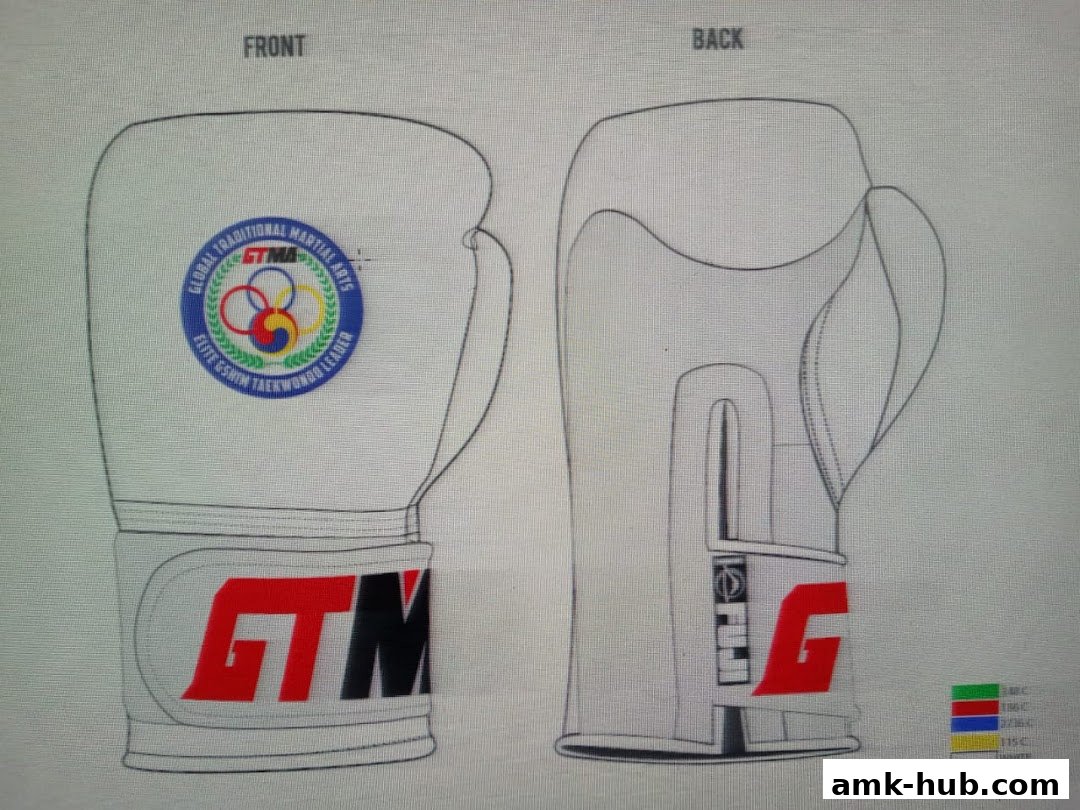 A sketch of boxing gloves showing front and back views with branding and color options.