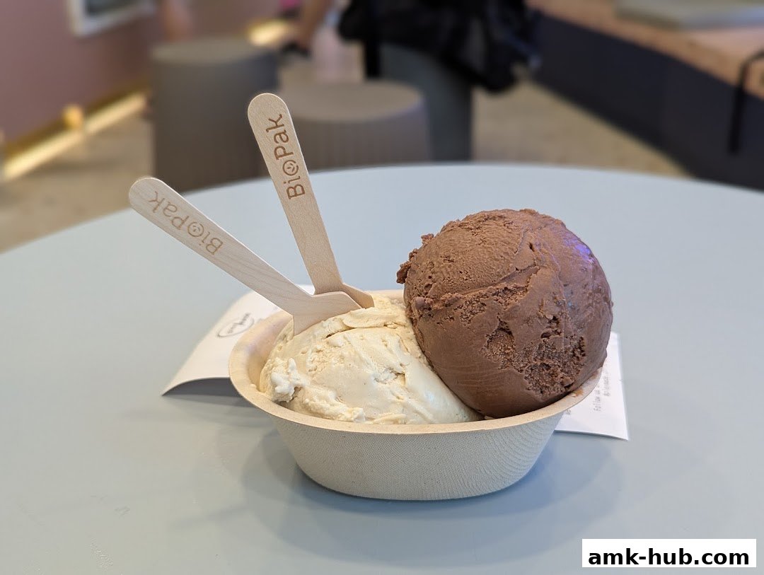 A bowl of ice cream with two scoops, one chocolate and one vanilla, served with wooden spoons.