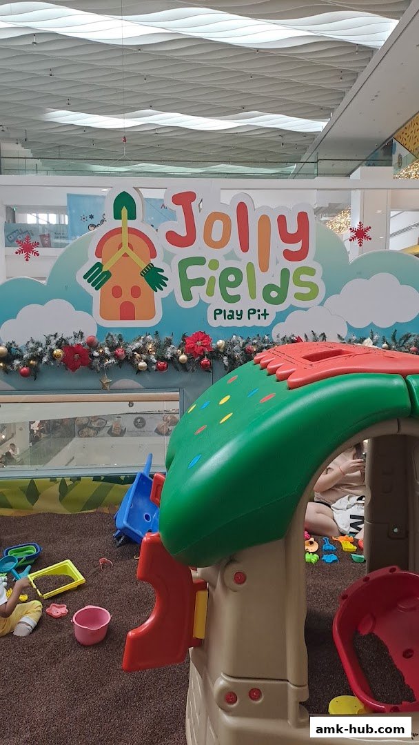 A colorful play pit area with toys and children playing, branded as Jolly Fields by ZOOMOOV.