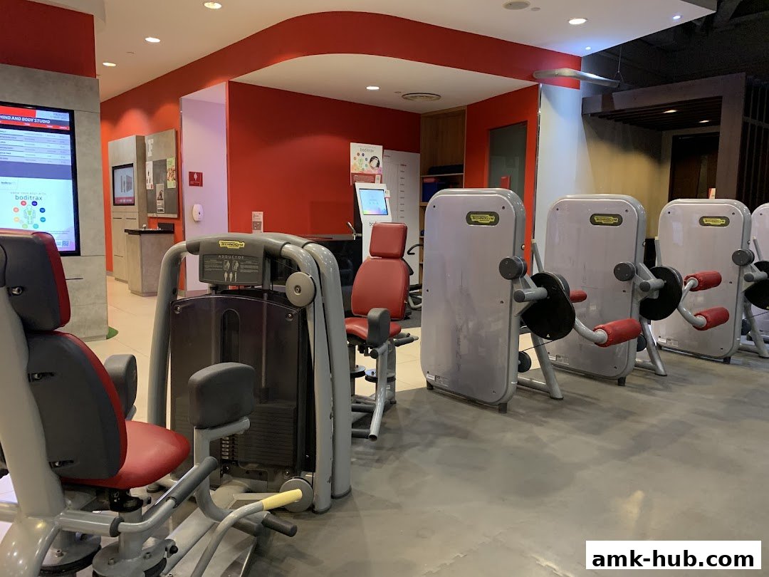 Interior view of a modern gym with various weight machines and exercise equipment.